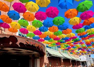 Colorful umbrellas adorn the sky above a vibrant Pensacola street, creating a romantic setting for a perfect date night with dining and strolling.