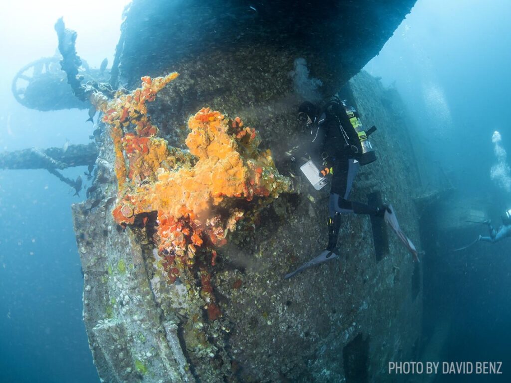 A diver explores a colorful coral-covered shipwreck underwater, surrounded by marine life in a vibrant, deep-sea environment great for a date night