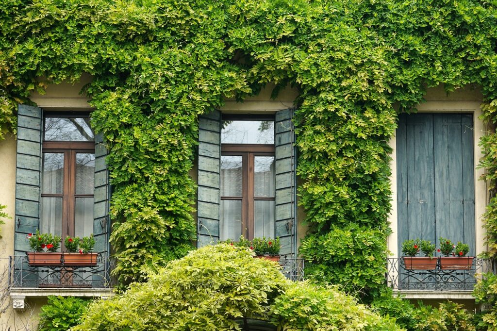 Pensacola FL near Destin beautiful greenery climbing up wall with gray shutter windows and flowers in windows