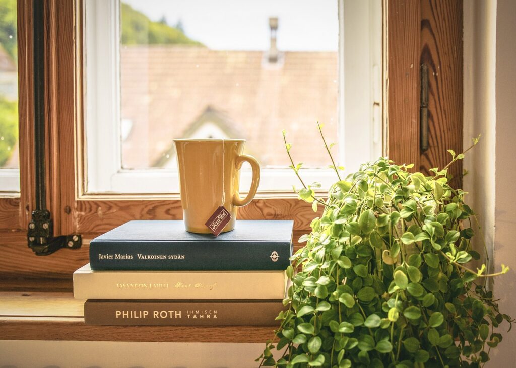 Pensacola FL near Destin FL Inside home with 3 books and a cup of tea seeping with green plant