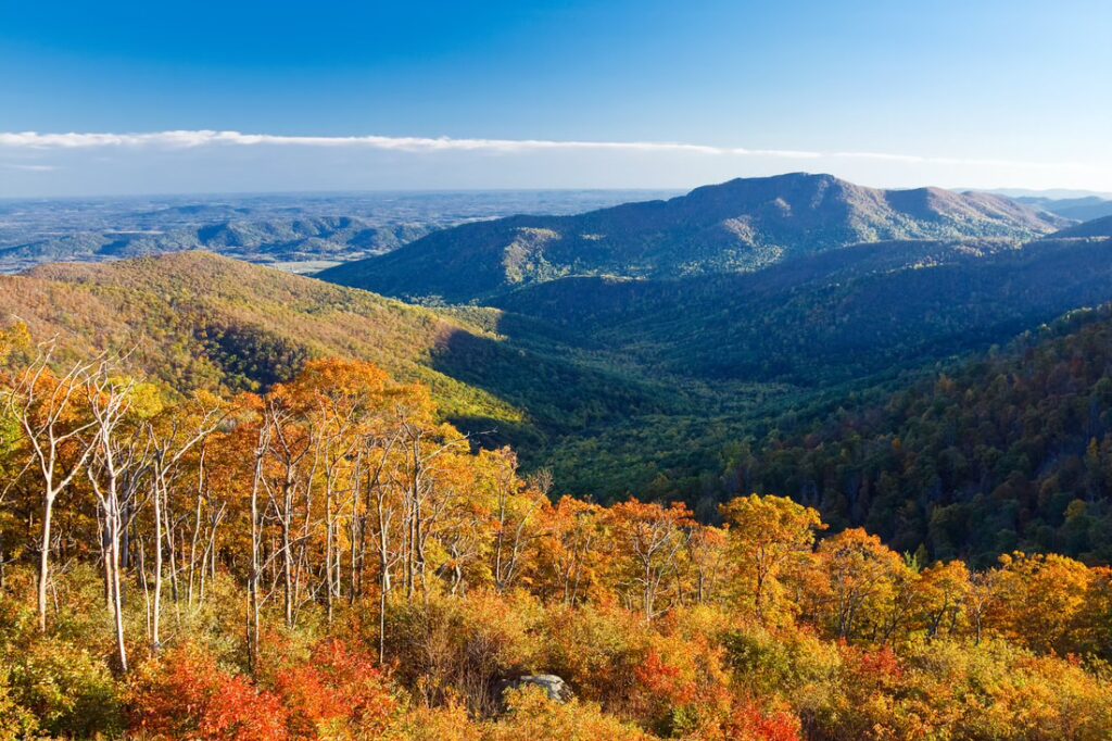 This breathtaking photo showcases a vibrant autumn landscape with rolling mountains bathed in hues of orange, red, and yellow under a clear blue sky. The expansive view features dense forests and distant ridges, creating a stunning natural panorama. The newly engaged couple are considering their event venues Pensacola, and this scenic mountain setting offers a picturesque and serene backdrop for their honeymoon after their upcoming celebration.
