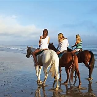go horseback riding on the beach after taking a look at wedding venues pensacola