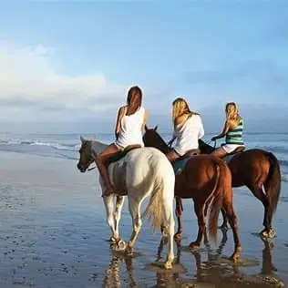 go horseback riding on the beach after taking a look at wedding venues pensacola